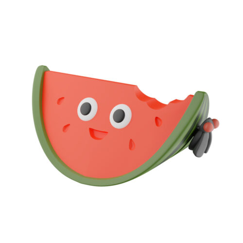 Antistress toy FIDGET GO Watermelon (FGSB010)