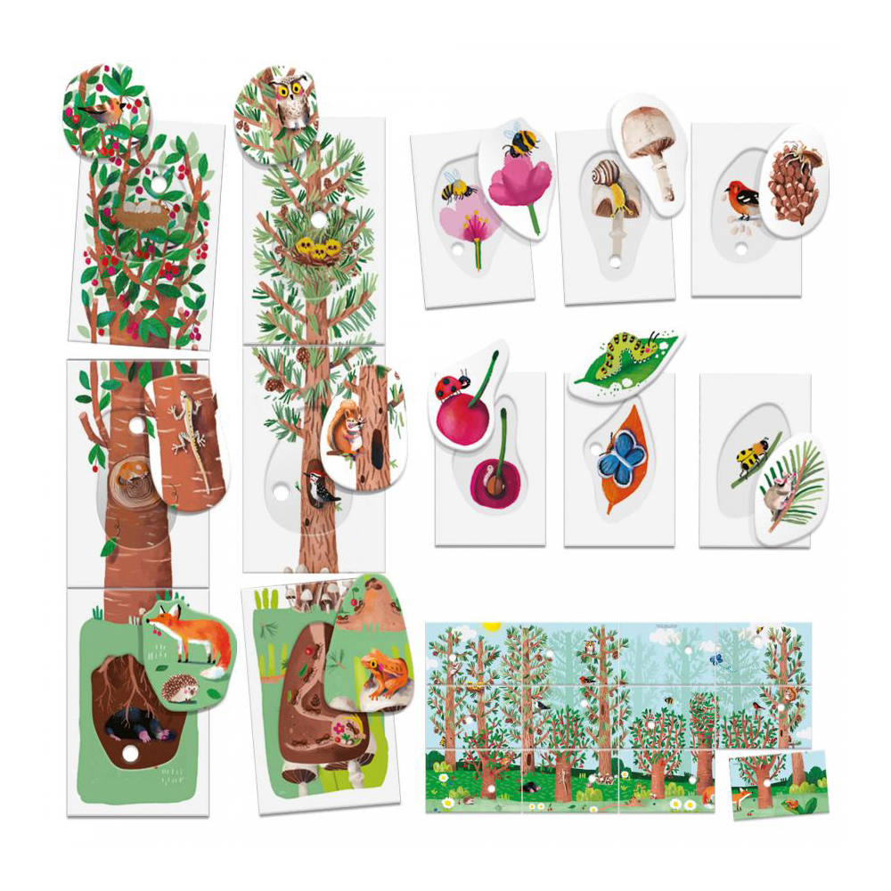 Montessori cards Exploring nature (MU27842)