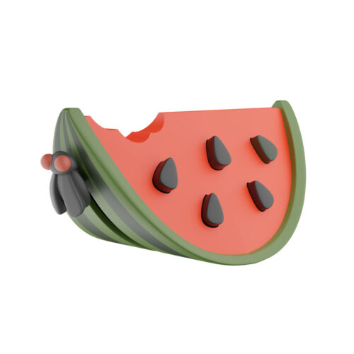 Antistress toy FIDGET GO Watermelon (FGSB010)