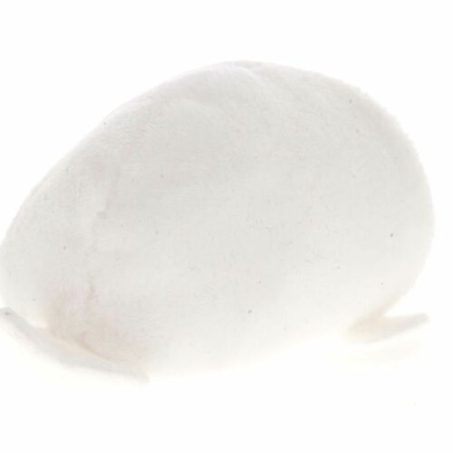 Stuffed toy TY Teeny Ty&#8217;s SEAL SLIPPERY (42136)