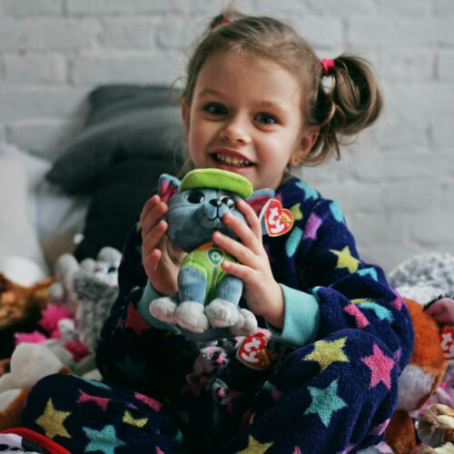 Мягкая игрушка TY Paw Patrol Пес Рокки маленький (41212)