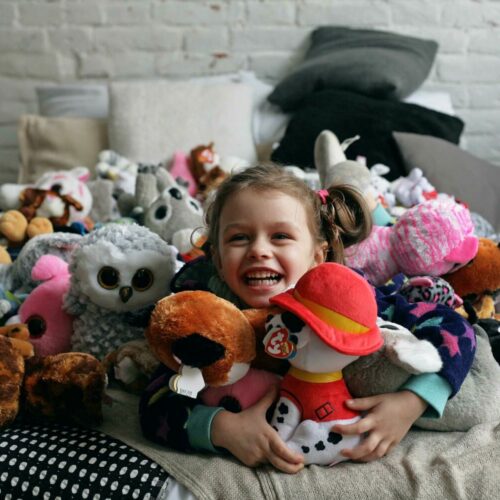 Мягкая игрушка TY Paw Patrol Пес Рокки маленький (41212)