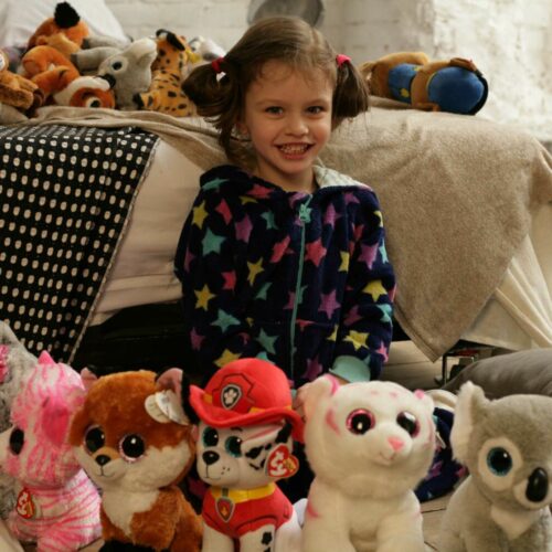 М&#8217;яка іграшка TY Paw Patrol Кокер-пудель Скай 25 см (96321)