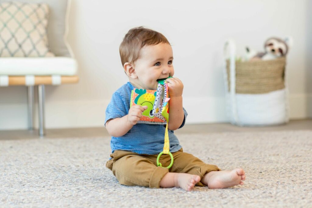 Навесная книга с прорезывателем INFANTINO Животные (005362I)