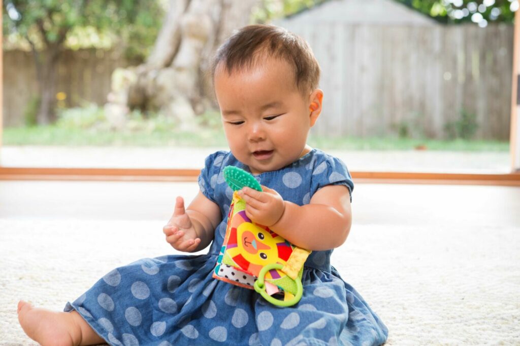 Навесная книга с прорезывателем INFANTINO Животные (005362I)