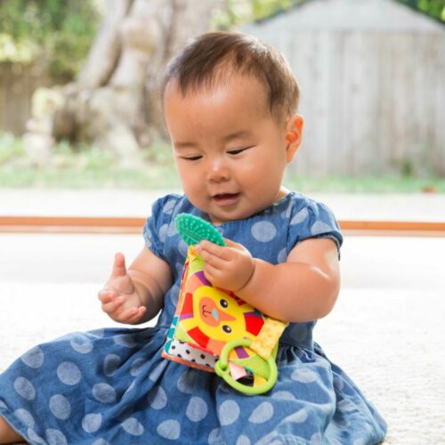 Навесная книга с прорезывателем INFANTINO Животные (005362I)