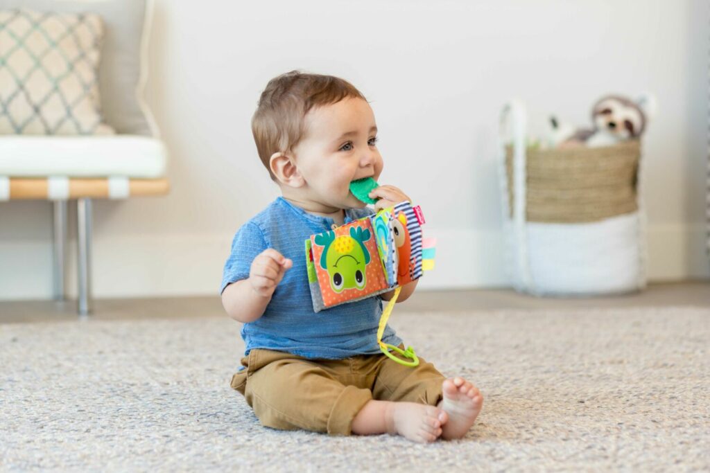 Навесная книга с прорезывателем INFANTINO Животные (005362I)