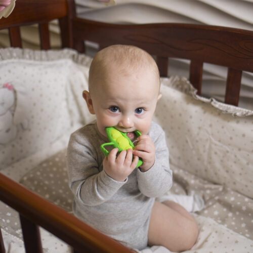 Textured teether Infantino Peas (316577)