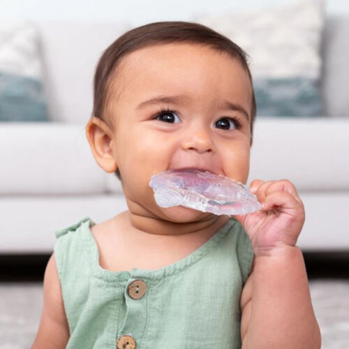 Texture teether Infantino Ice friends (316564)