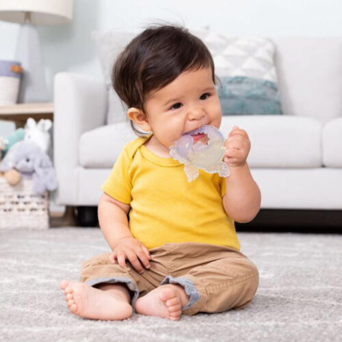 Texture teether Infantino Ice friends (316564)