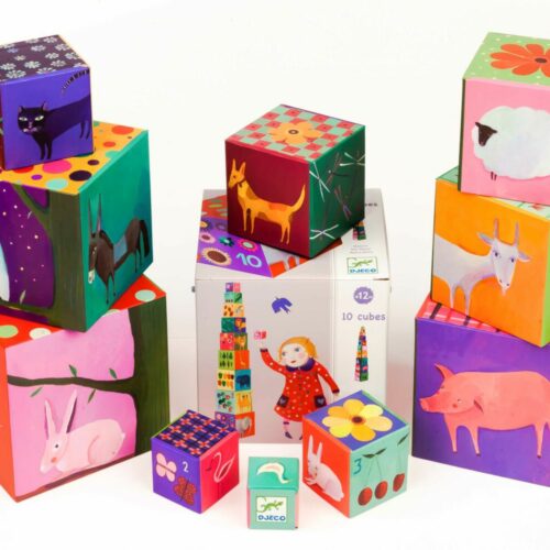 Pyramid DJECO Funny dice My friends (DJ08505)