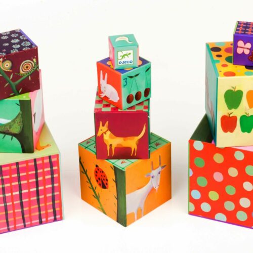 Pyramid DJECO Funny dice My friends (DJ08505)