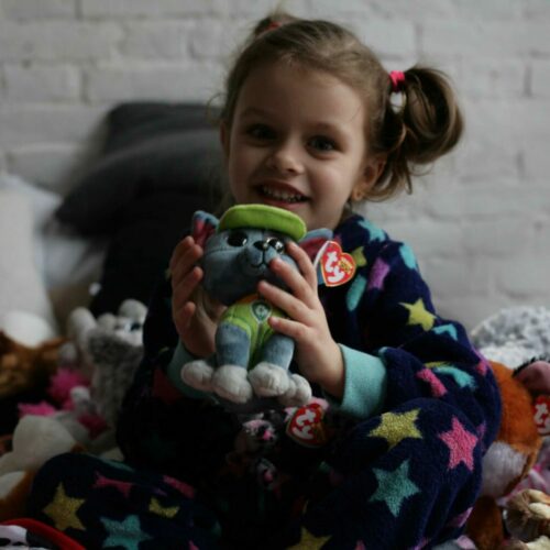 Мягкая игрушка TY Paw Patrol Кокер-пудель Скай маленький (41210)