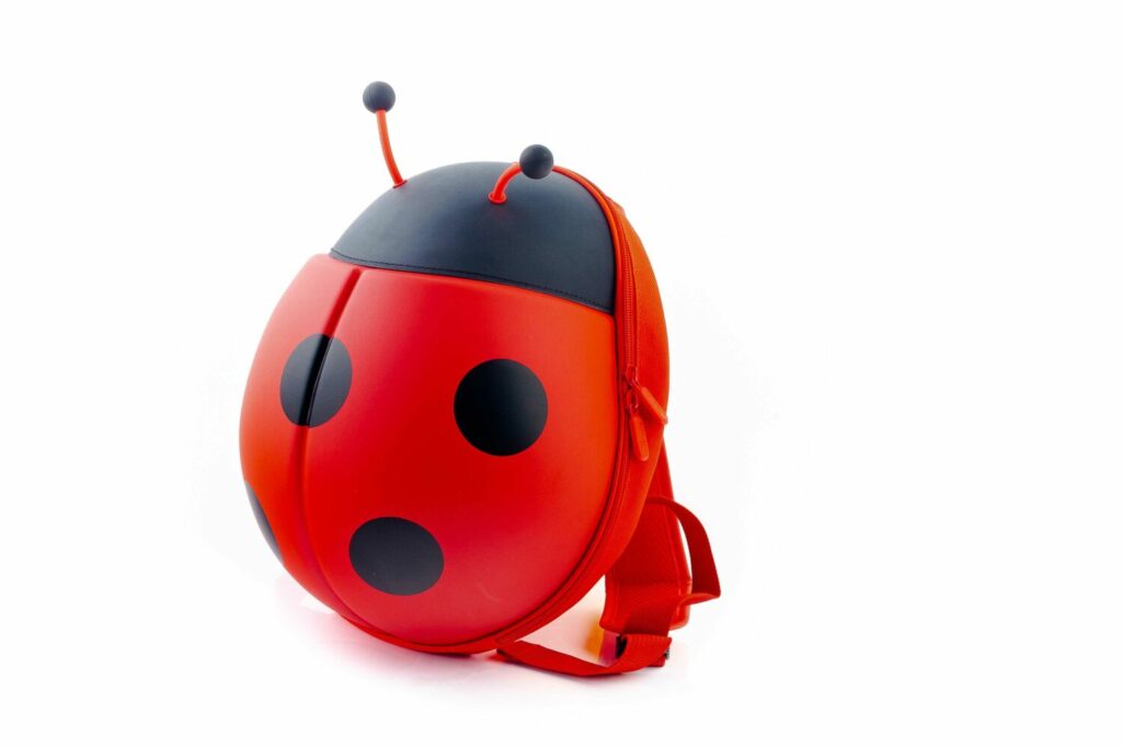 Рюкзак Supercute Божа корівка Червоний (SF032-a)