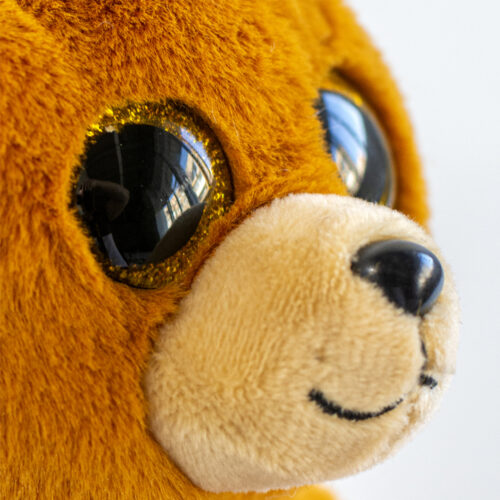 Soft toy TY BEANIE BELLIES Teddy bear DUNCAN (40549)