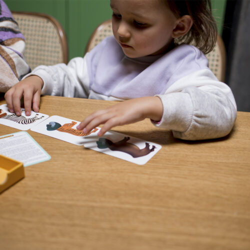 Карточная игра DJECO Веселая путаница (DJ05092)