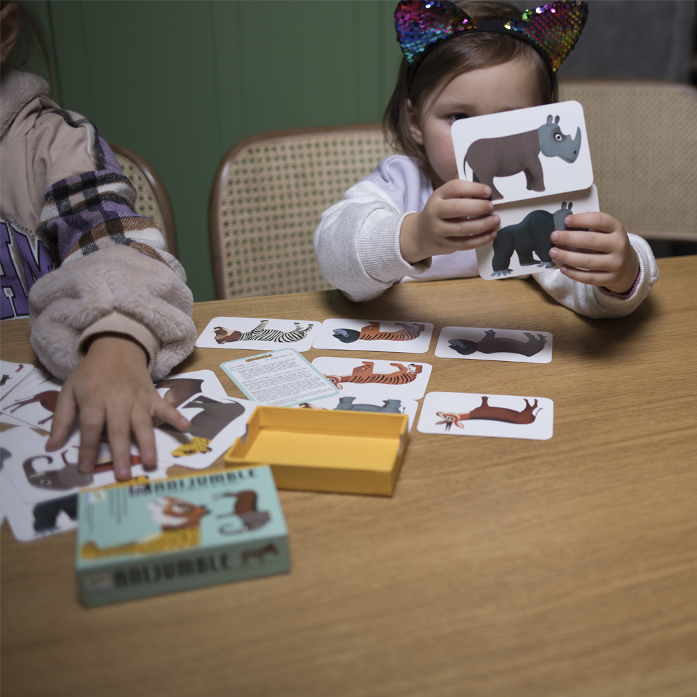 Карточная игра DJECO Веселая путаница (DJ05092)