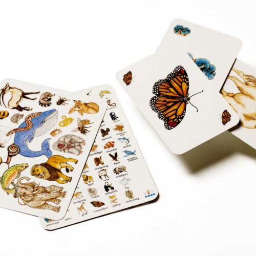 Игра DJECO Занималка (DJ05153)