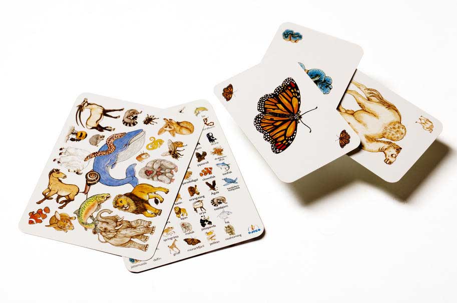 Игра DJECO Занималка (DJ05153)