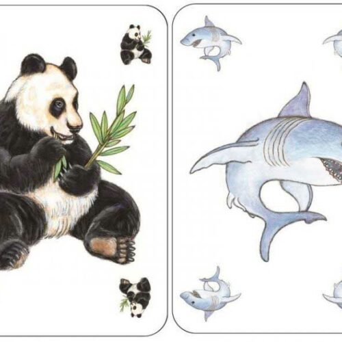 Игра DJECO Занималка (DJ05153)