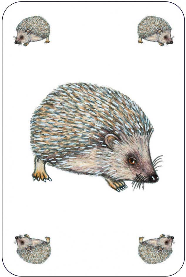 Игра DJECO Занималка (DJ05153)