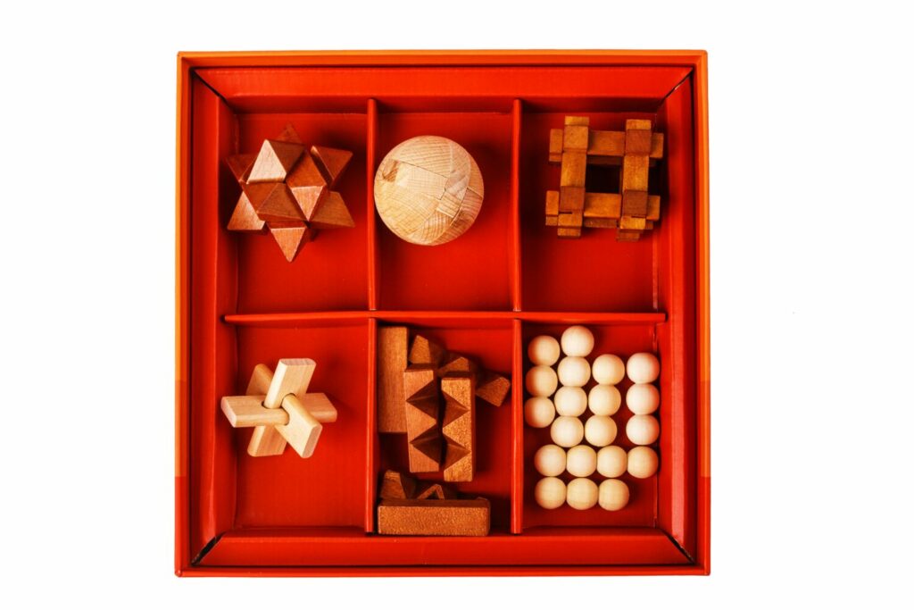 Игра DJECO головоломка Вудикс (DJ08464)