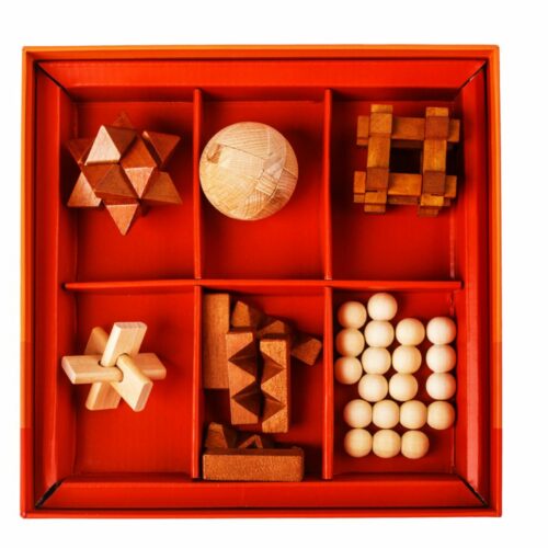 Игра DJECO головоломка Вудикс (DJ08464)