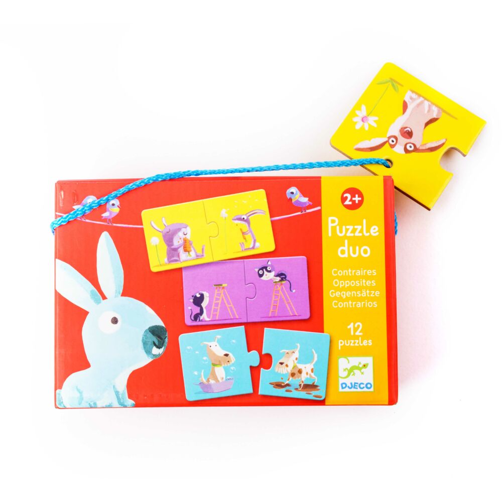 Игра DJECO Противоположности (DJ08162)