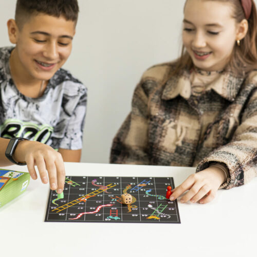 Набор классических игр DJECO 12 в 1 (DJ05218)