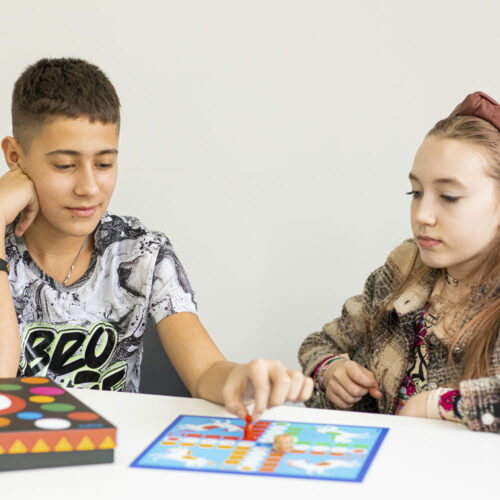 Набор классических игр DJECO 12 в 1 (DJ05218)