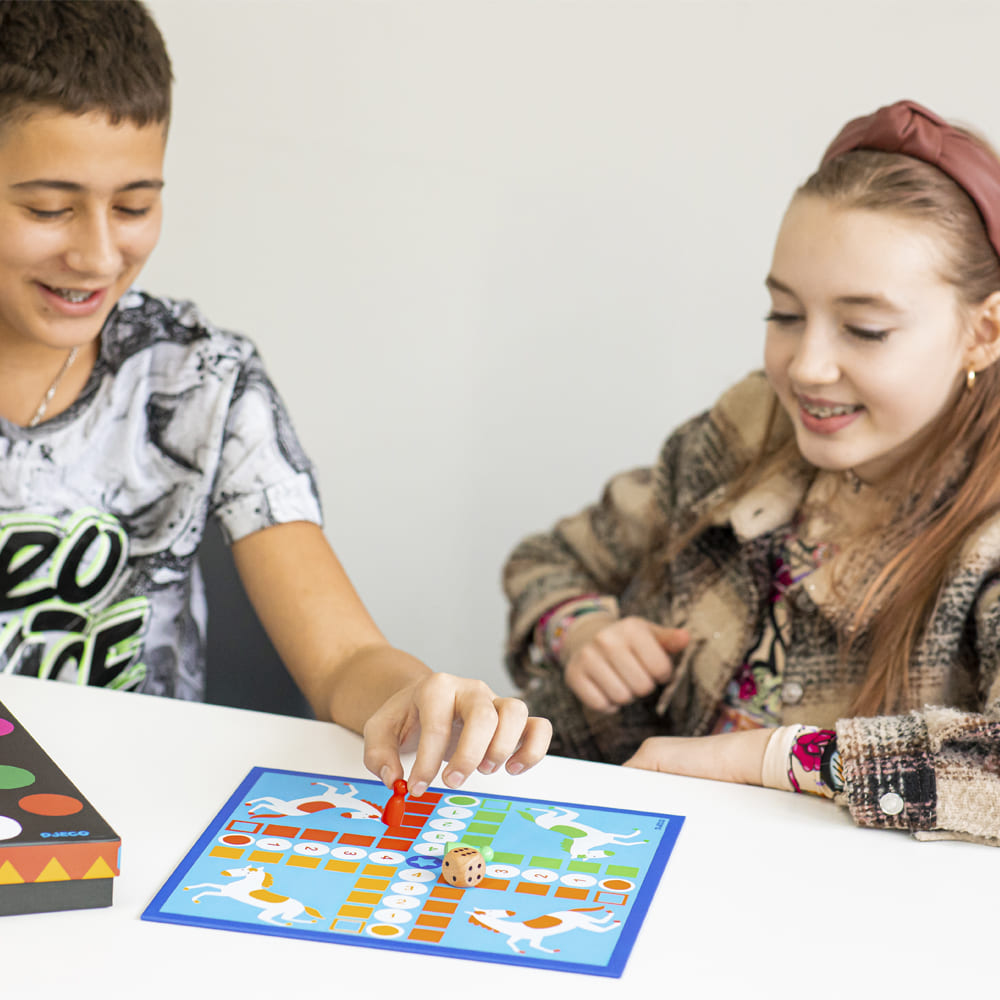 Набор классических игр DJECO 12 в 1 (DJ05218)