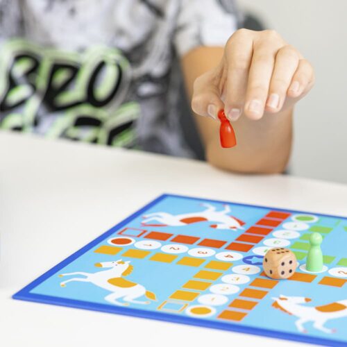 Набор классических игр DJECO 12 в 1 (DJ05218)